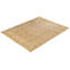 Tapis ivoire / brun noué à la main de conception unique 8 pi 4 po x 10 pi 7 po Keller