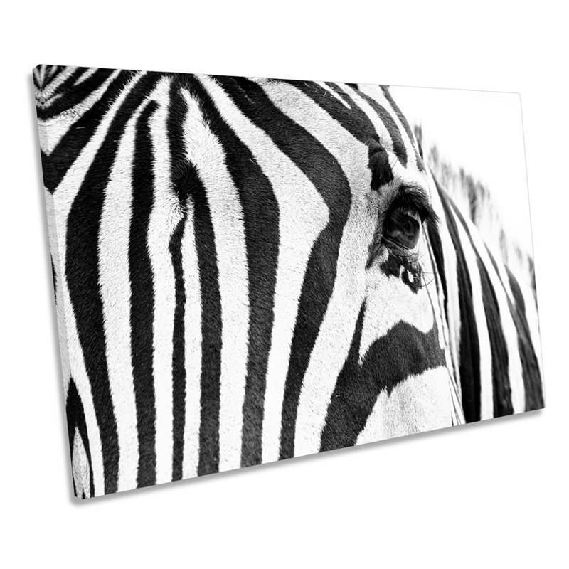 Zebra Stripes Animal - Wrapped Canvas Print, 61cm H x 91.4cm W