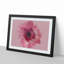 Layers of a Pink Gerbera in Abstract - Picture Frame Graphic Art Print-55777472-55777478