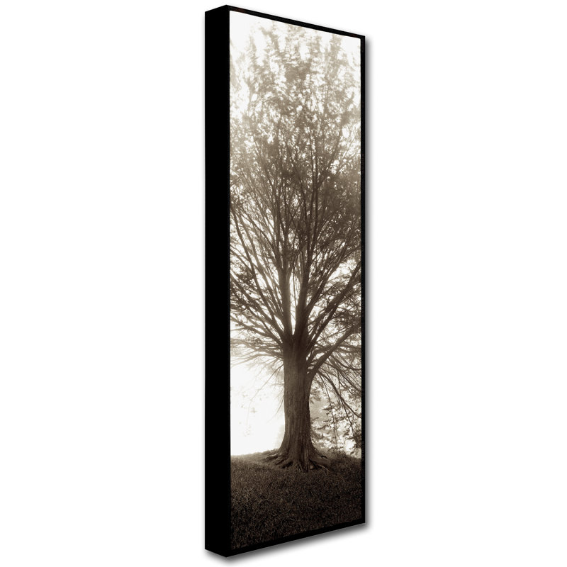 Alan Blaustein «Hampton Gates Tree No. 1», reproduction de photo sur toile tendue, H 47 po x l 16 po x P 2 po