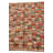 4x6 Peter Multi Rug