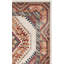 Tapis Isanotski Performance Southwestern-24506669