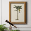 Toile encadrée de qualité supérieure AU CH British Palms III - prête à être accrochée-1399063908-1375735850
