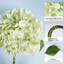 Fleurs d'hortensia artificielles-1293353910