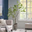 ARBRE À PIERIS 210CMTIFTIFS-727059638