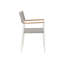 Outdoor Dining Armchair-1777248652