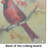 Cardinal Glass Cutting Board
