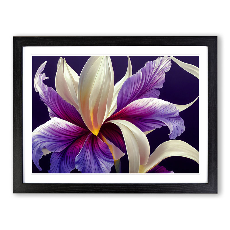 Enticing Flower - Single Picture Frame Print, 34cm H x 46cm W x 2cm D, Black