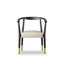 Upholstered Arm Chair-1590484072