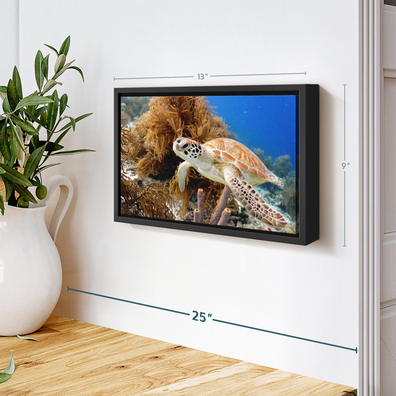 Turtle Reef Canvas Print, 9" H x 13" W