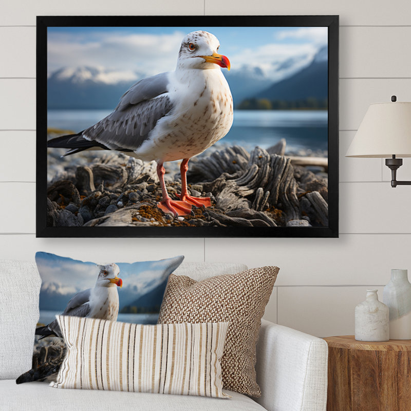 «Seagull Portrait On Rock», reproduction d'art sur toile, Cadre simple noir, H 16 po x l 32 po x P 1 po