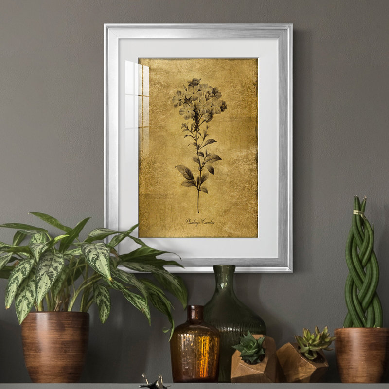 Reproduction d'art encadrée dorée Botanical II, H 30,5 po x l 22,5 po x P 1,5 po, Argent