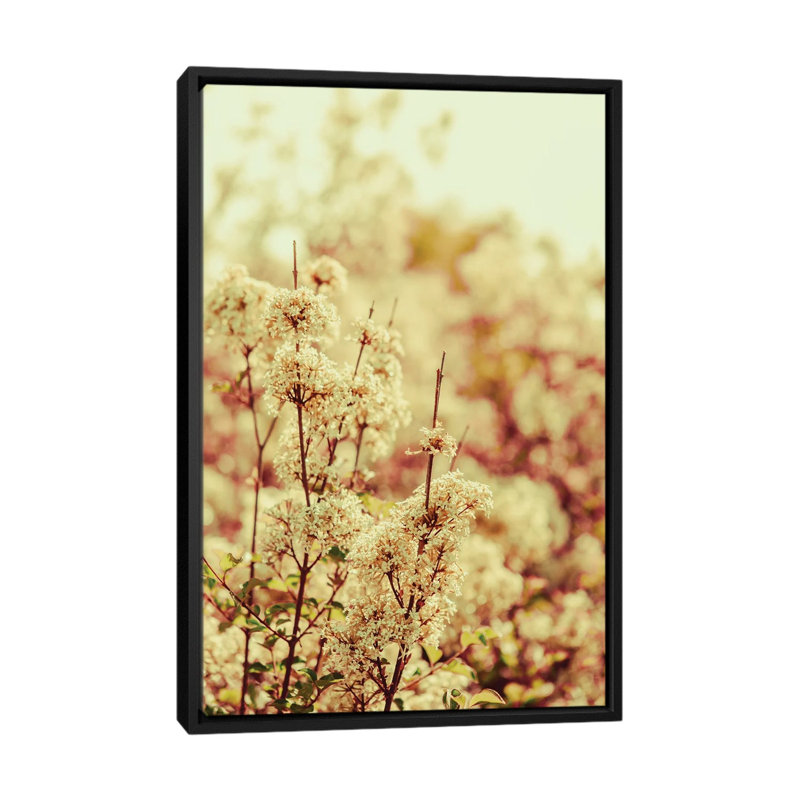 Hush My Love by Olivia Joy StClaire - Floater Frame Print on Canvas