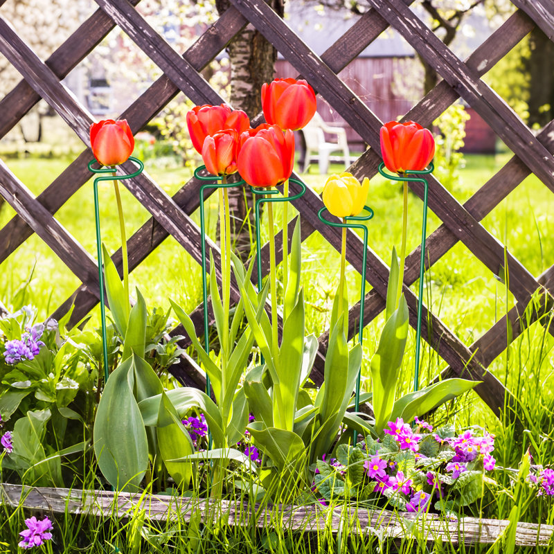Paquet de 24 piquets de plantes décoratifs en métal de 16 pouces, cerceaux de fleurs à tige simple, support de jardin pour roses, tomates et orchidées