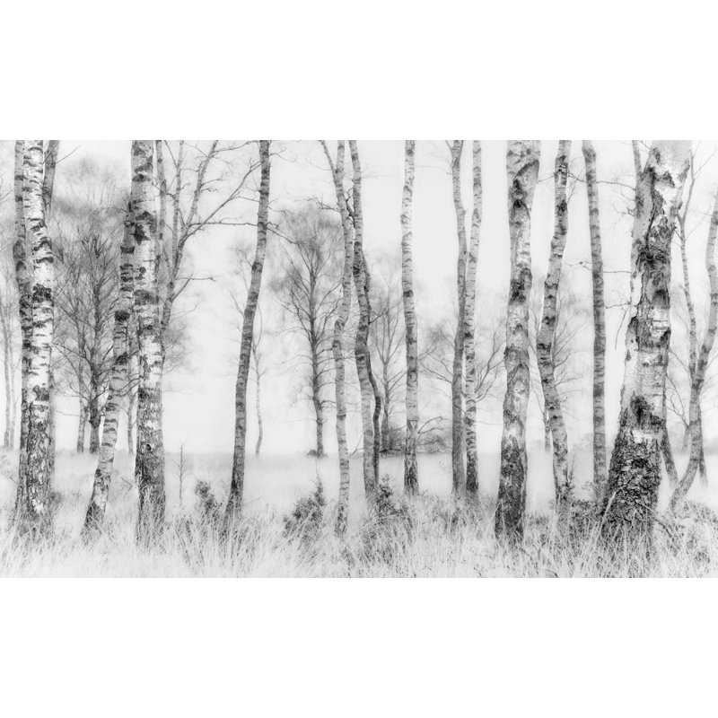 Wrapped Canvas Print, 50.8 cm H x 76.2 cm W