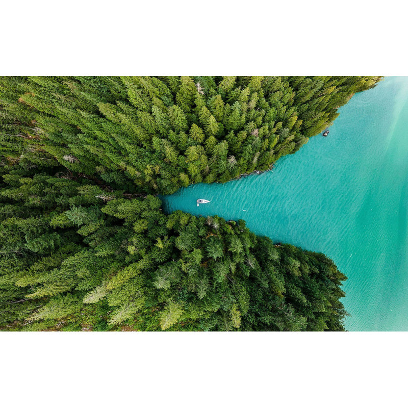 Murale pelez et collez de qualité supérieure - Forêt du lac Emerald, L 120 po x L 96 po
