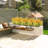 Violet Arrangement-1950051333