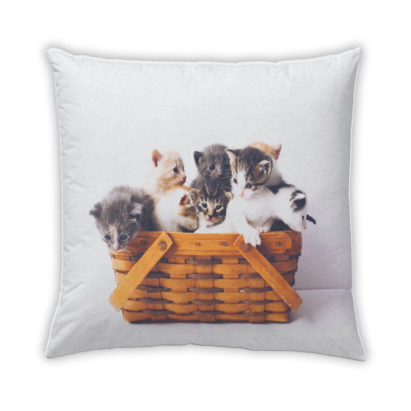 Coussin 63 chats, Microsuède