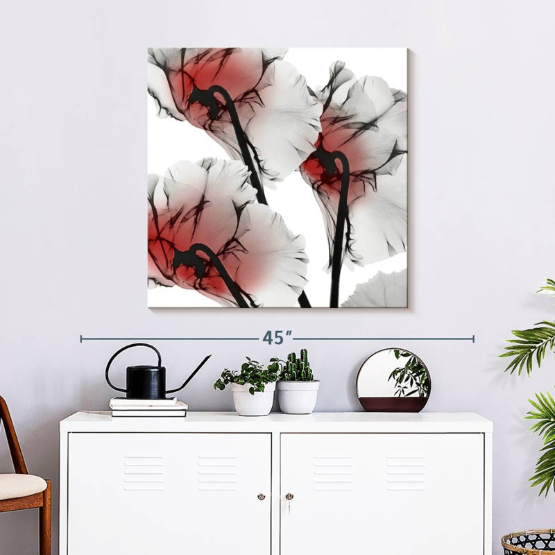 Cyclamen lustré Harnek Crimson