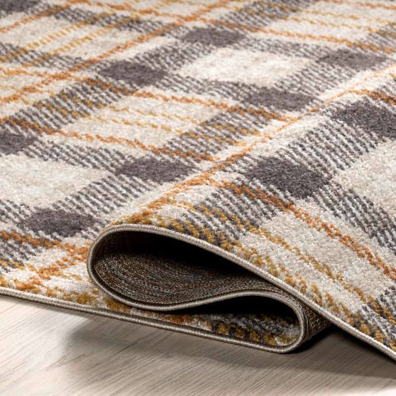 Kalila Retro Plaid Area Rug, Rectangle 4' x 6'