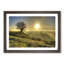 Landscape Lone Tree Sunrise Framed Print-18868438