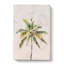 Cuban Palm Tree - Wrapped Canvas-56641763