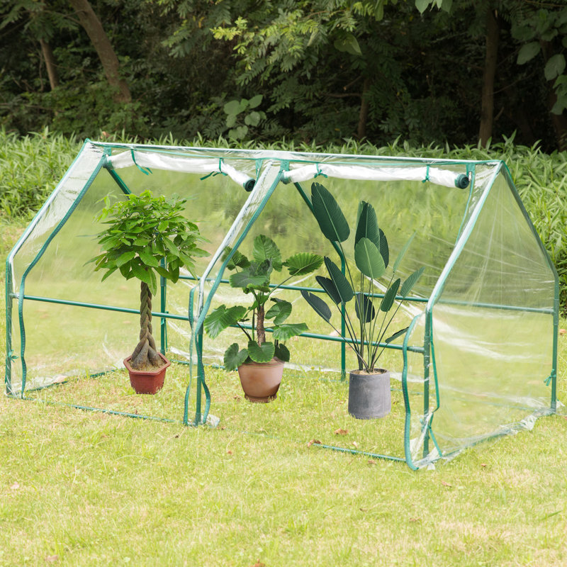 36.25' W x 71.15' D Hobby Greenhouse