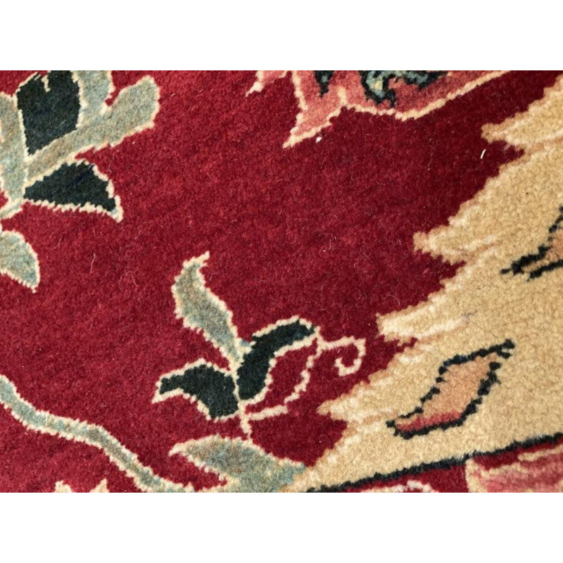 Walela Oriental Area Rug