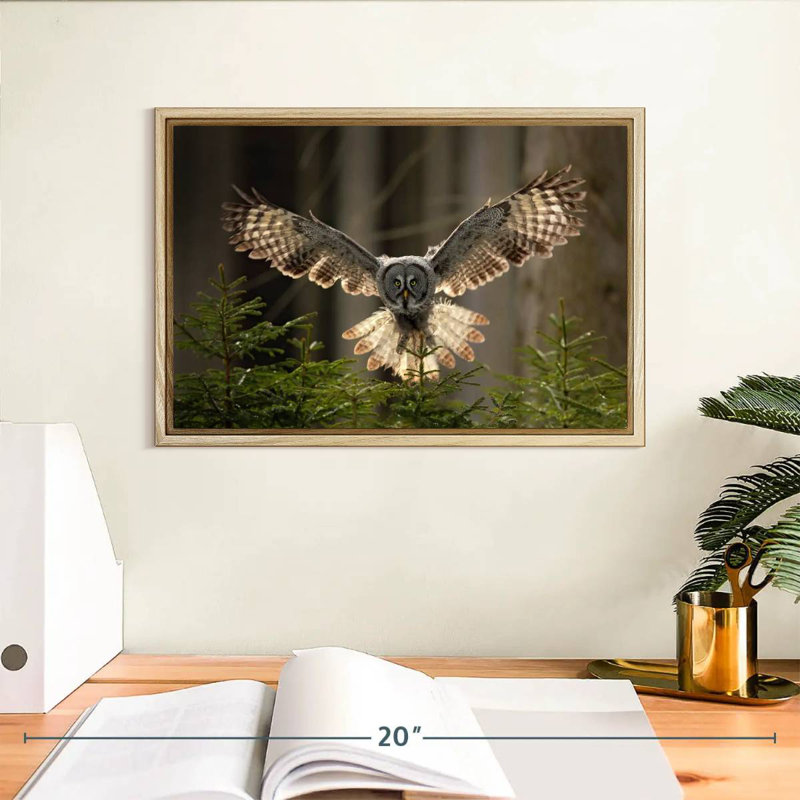 Hibou volant, Cadre flottant en bois naturel, 13 po x 9 po