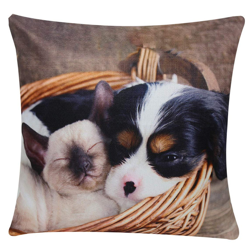 Dezaray Cavalier King Charles Spaniel Dog And Kitten Friendship Square Throw Pillowcase