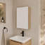 Armoire de toilette avec miroir 20 po