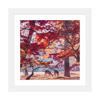 «Autumn Sunrise in Nara» par Hobopeeba - reproduction