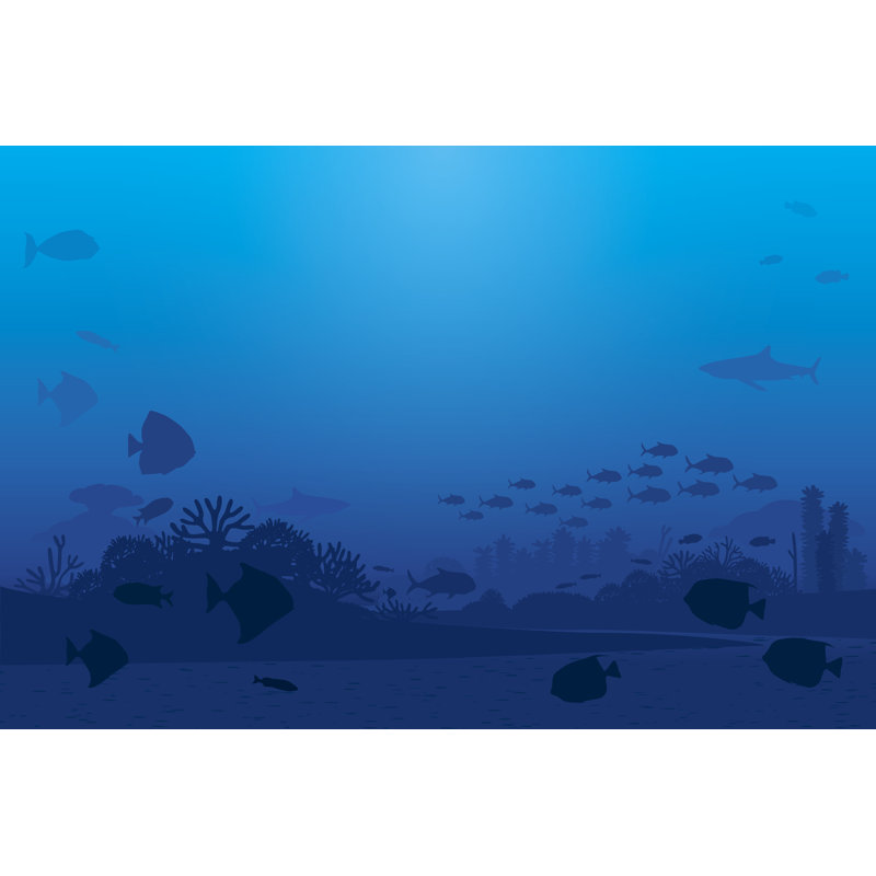 Sea Life by DoggieMonkey - Wrapped Canvas Print, 30cm H x 46cm W