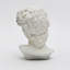 Monochrome Classical Bust Sculpture – Matte Resin Decorative Accent (29 cm) -1263162807