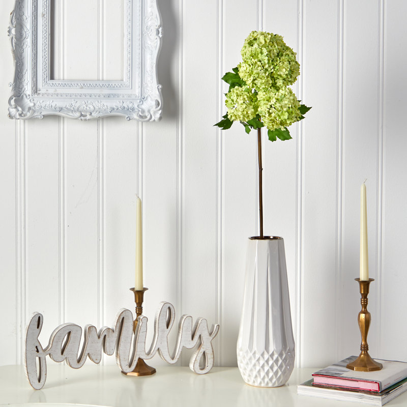 Tige d'hortensia boule de neige, Vert