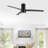 Blainey 52'' Ceiling Fan with LED Lights