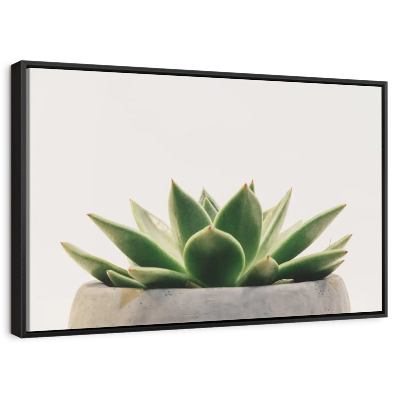 Plante grasse en pierre, 46 po x 31 po, Cadre flottant noir