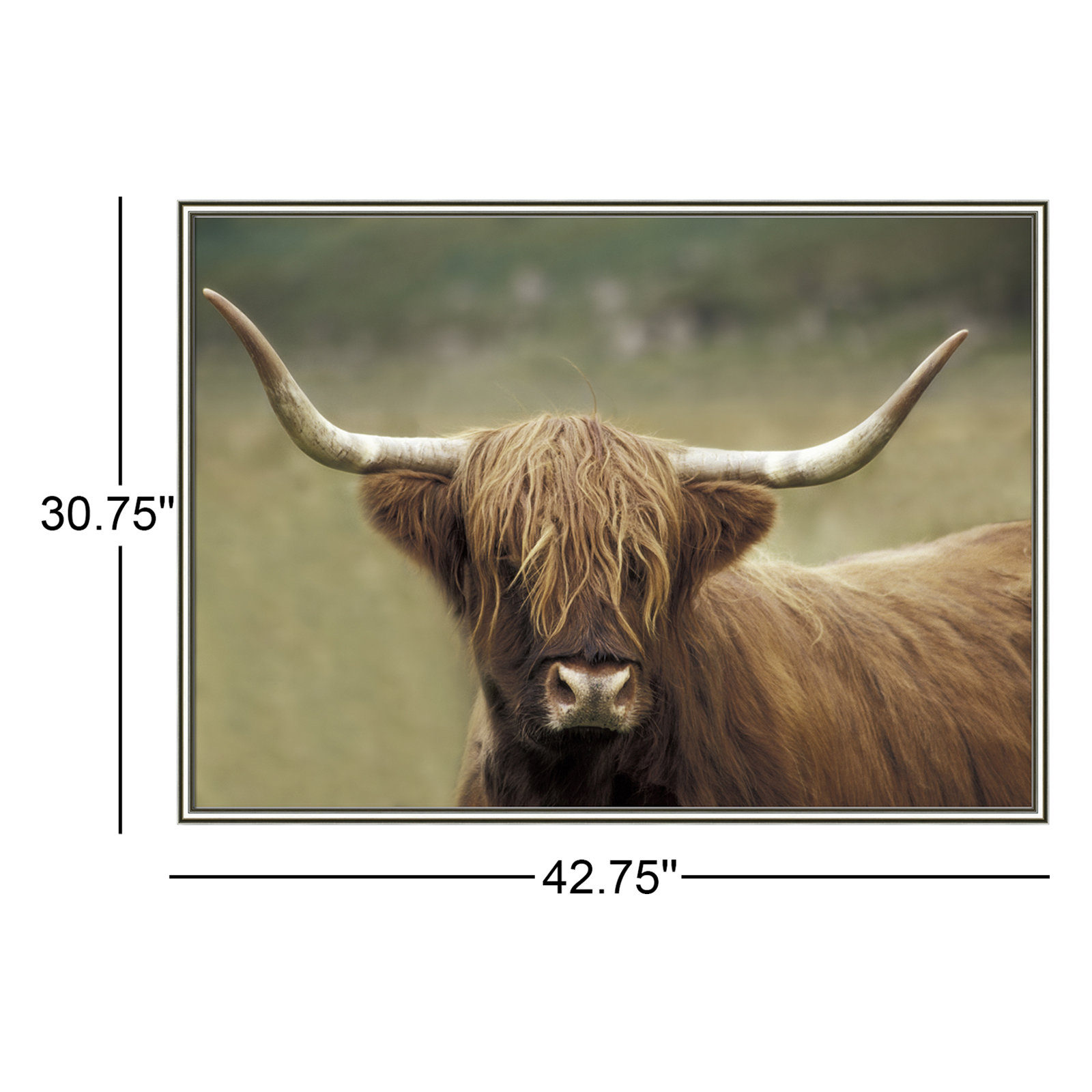 Highland Afternoon by Danita Delimont - Picture Frame Photograph, 30.75" H x 42.75" W x 0.88" D, Silver Framed