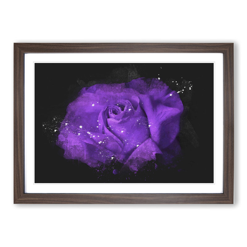Purple Rose Flower Vol.3 1 Piece Single Picture Frame Wall Art, 36cm H x 48cm W x 2cm D, Walnut Framed