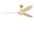 Selen Smart LED Ceiling Fan-1611855336-1611855343-1611855335