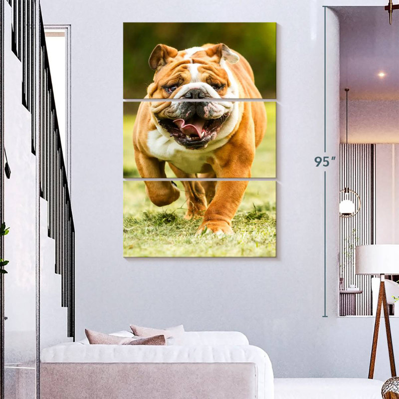 Chien de course Brampt, H 74 po x l 48 po