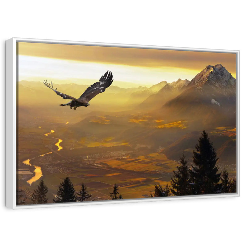 Aigle royal au coucher du soleil, Cadre flottant blanc, 46 po x 31 po
