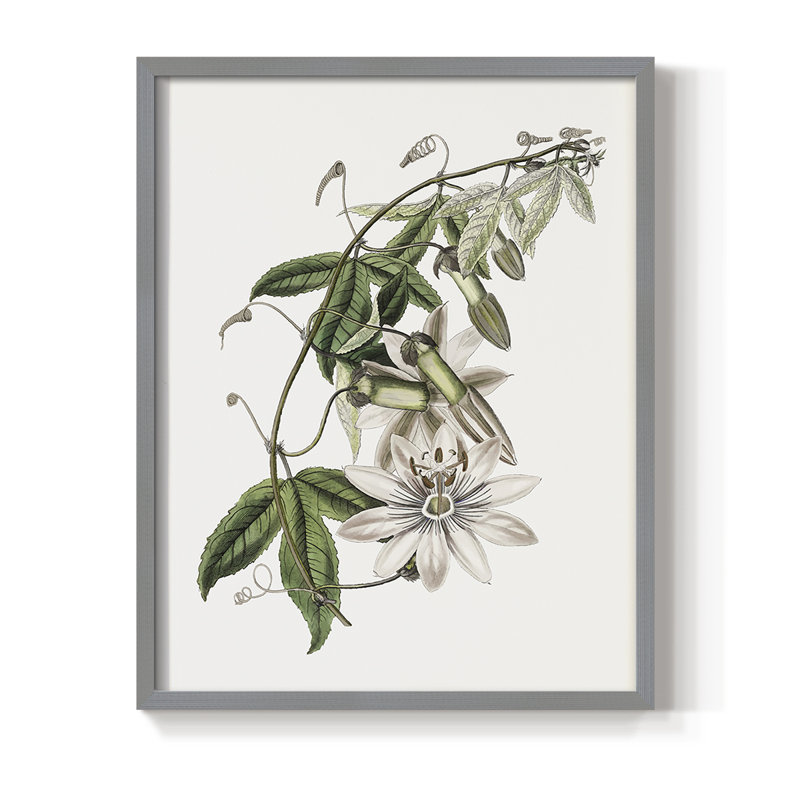 Tropical Botanical II, reproduction encadrée - bois massif, Gris, H 15 po x l 12 po
