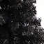 Arbre de Noël artificiel-1298901245