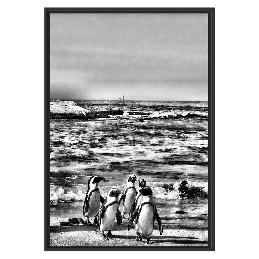 Gerahmtes Wandbild Pinguine am Strand