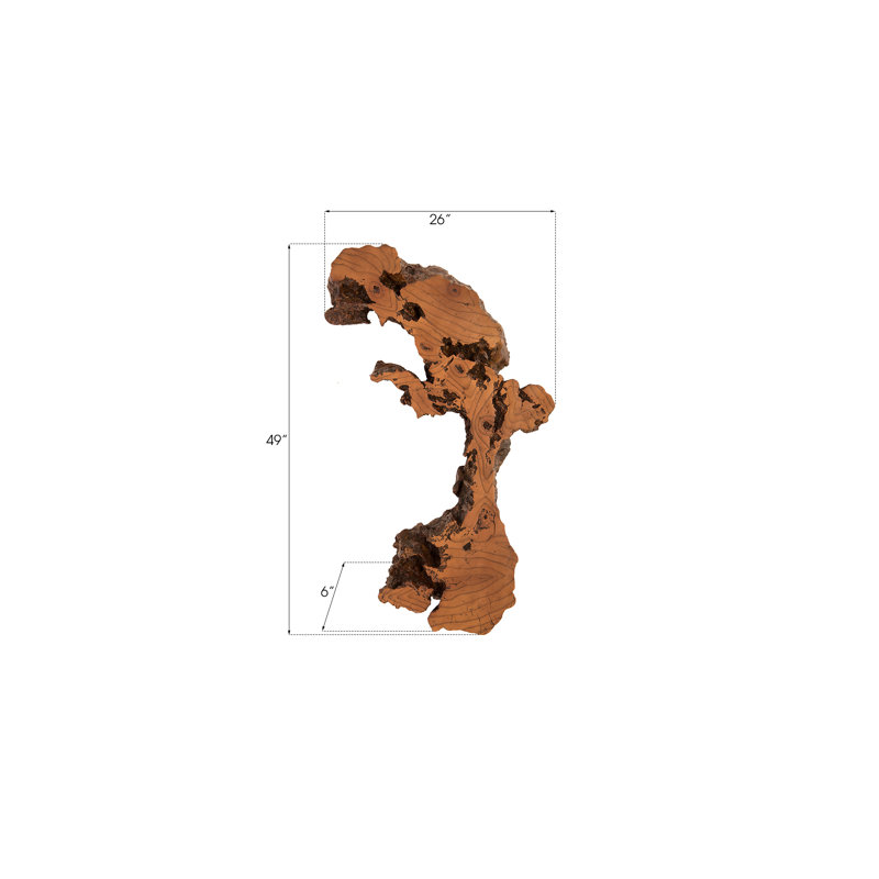 Décoration murale Cast Naturals Root Burled