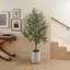 7FT Olive Tree KD