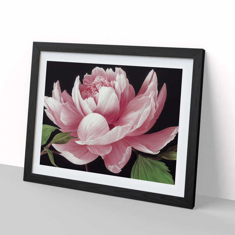Delicious Peony Flower - Single Picture Frame Painting, 25cm H x 34cm W x 2cm D, Black
