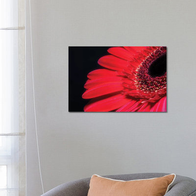 Red Gerbera Flower - Wrapped Canvas Print