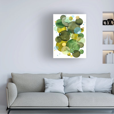 Jocelyn Benford Mossy Rocks Canvas Art